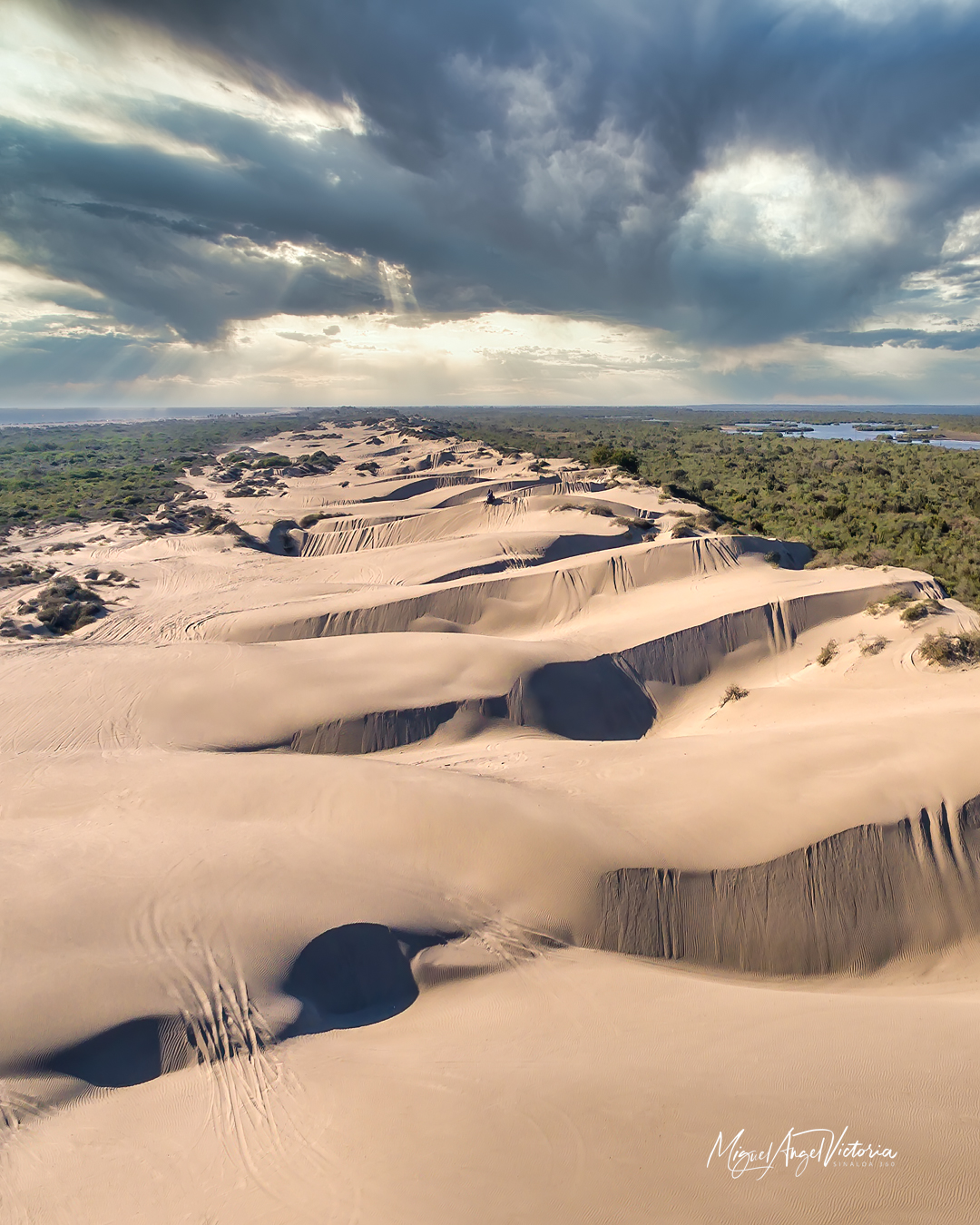 Dunas en Dautillos