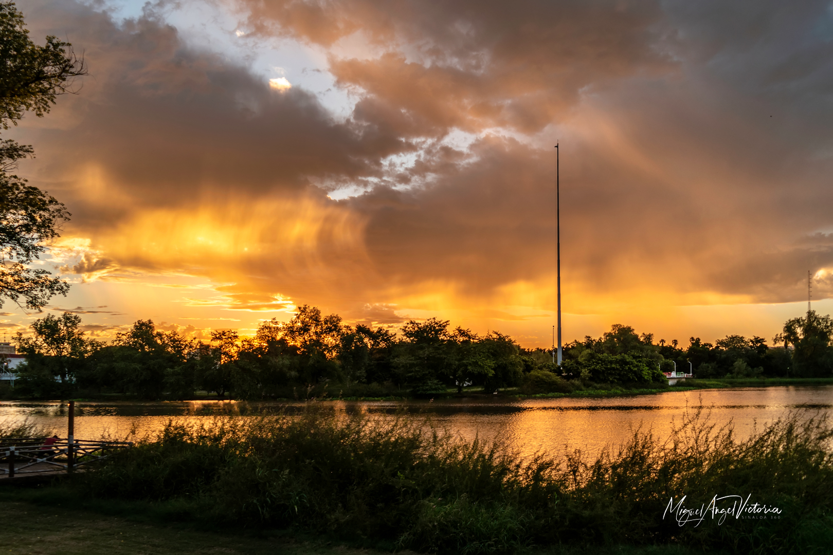 Asta Bandera Espectacular