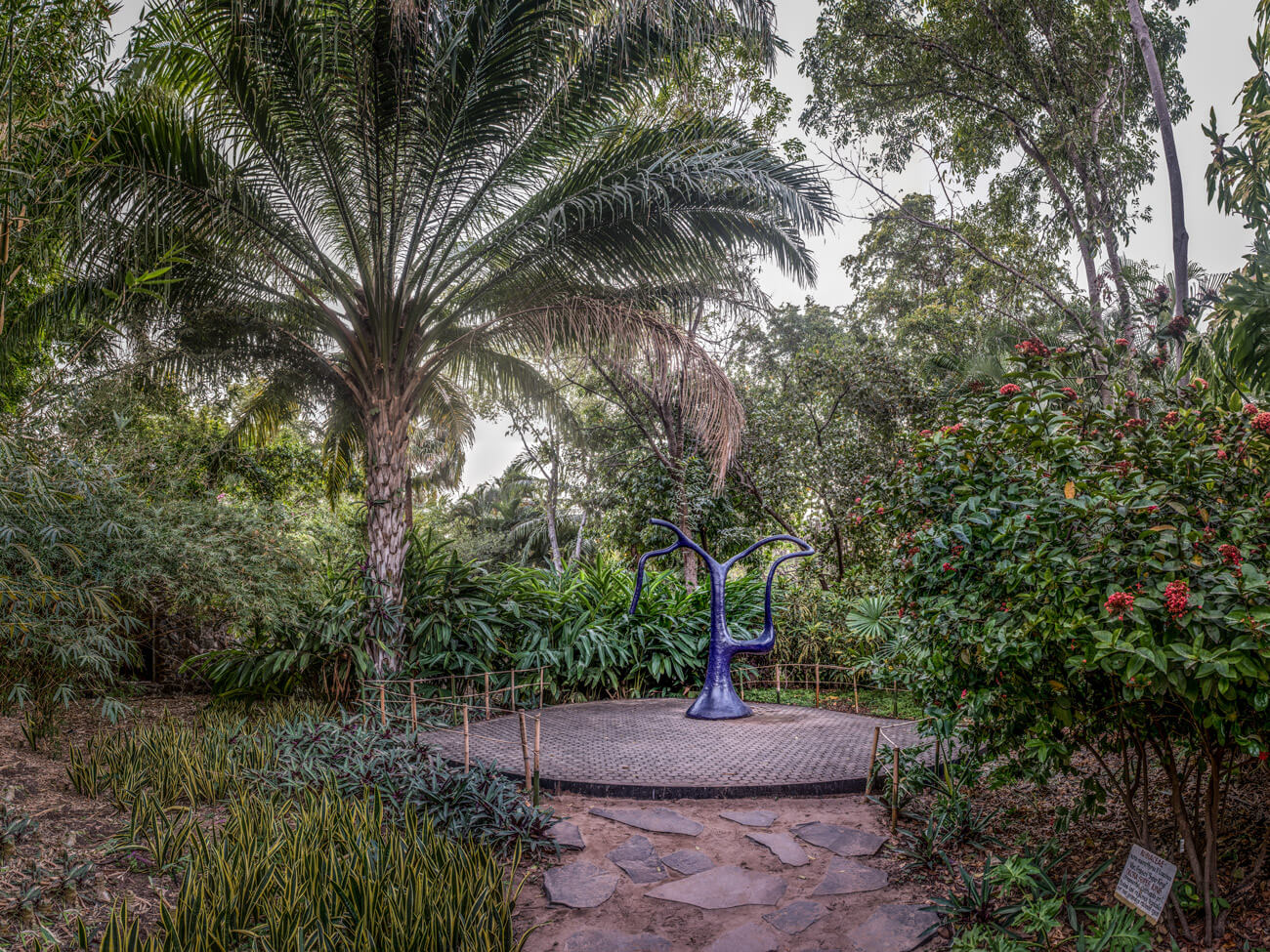 Botanical Garden of Culiacan