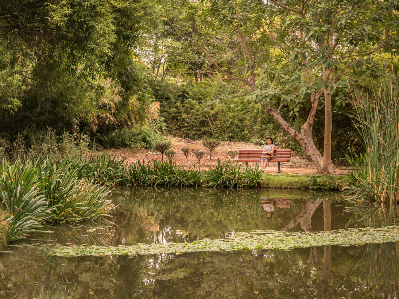 Botanical Garden of Culiacan