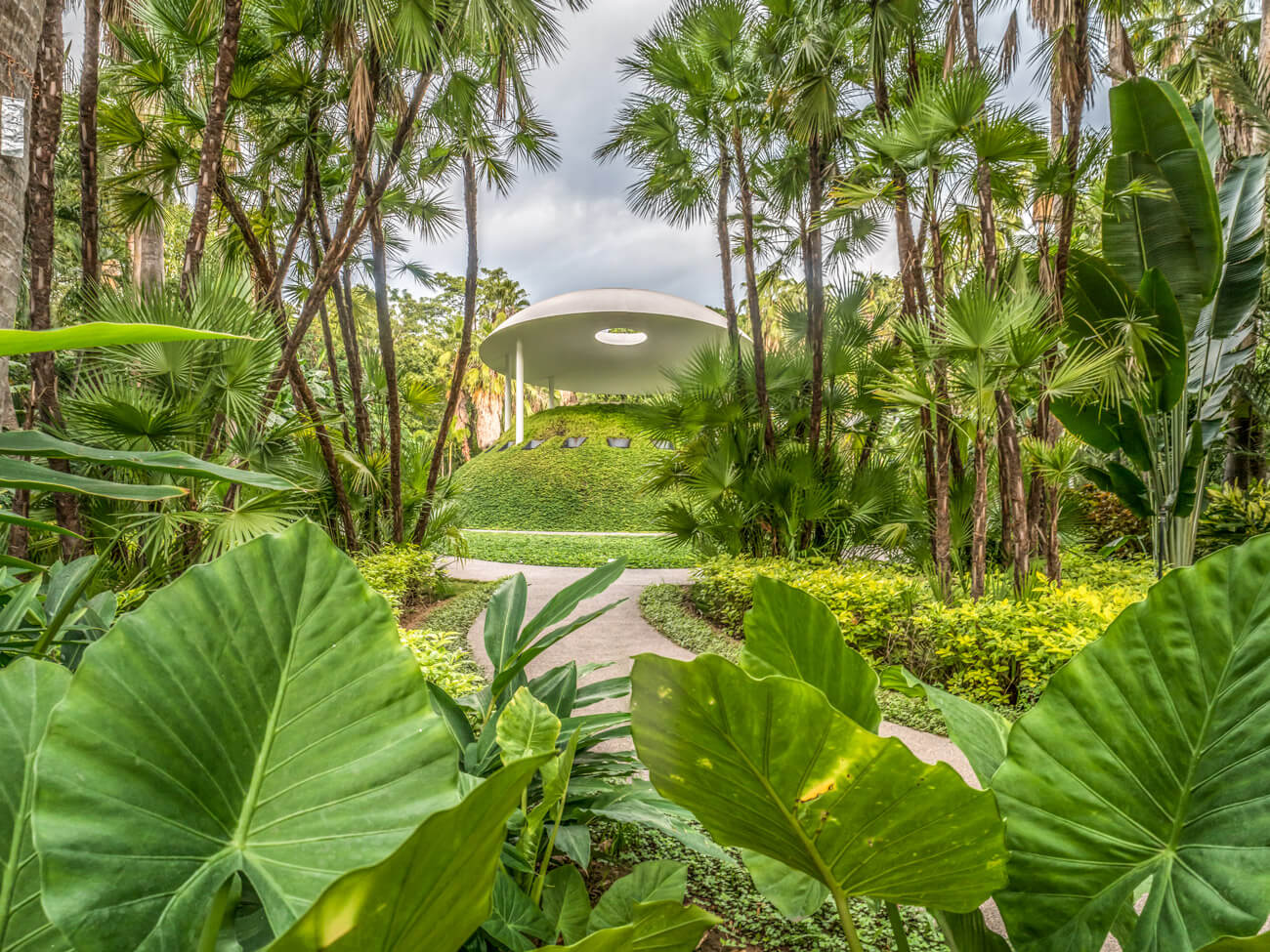 Botanical Garden of Culiacan