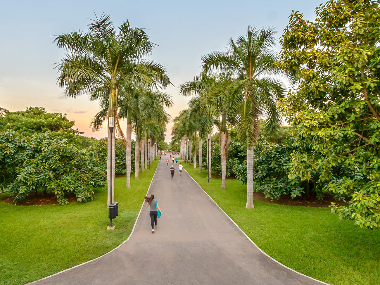 Botanical Garden of Culiacan