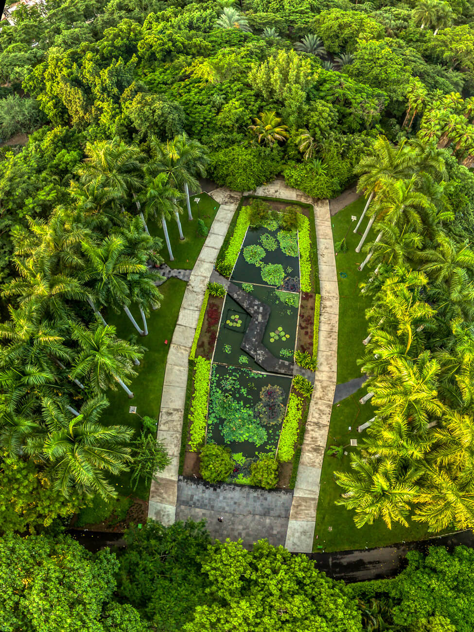 Botanical Garden of Culiacan