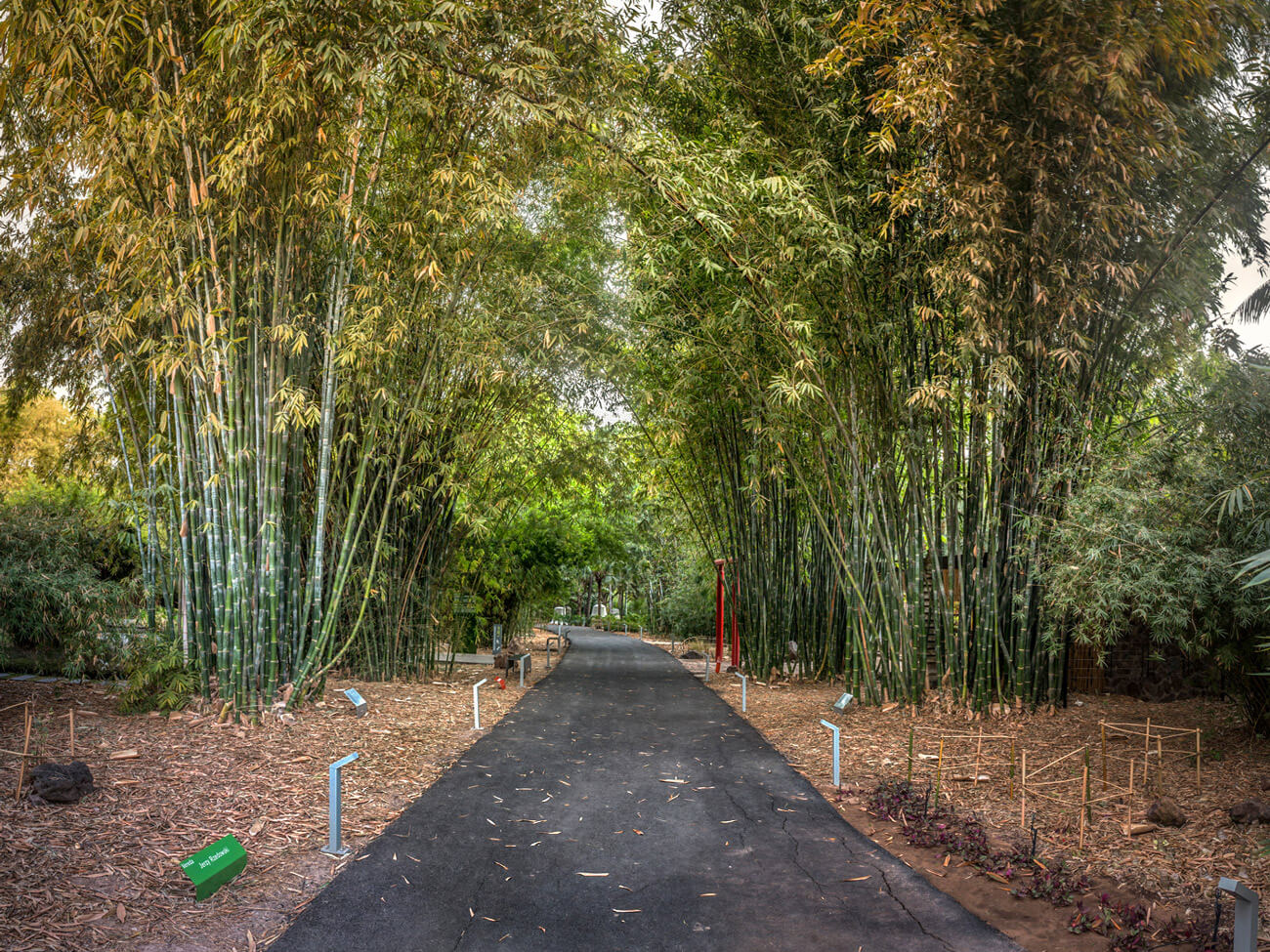 Botanical Garden of Culiacan