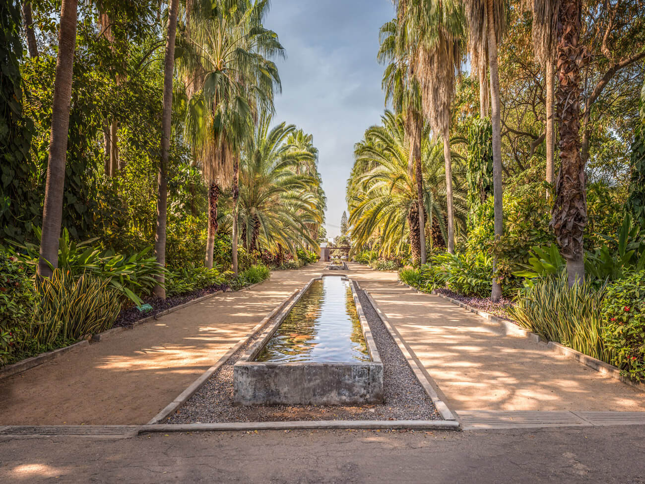 Botanical Garden of Culiacan