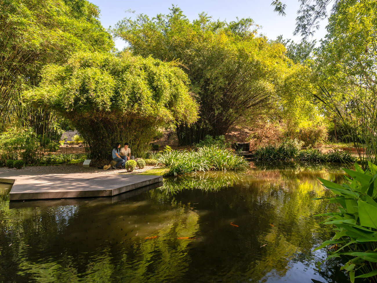 Botanical Garden of Culiacan