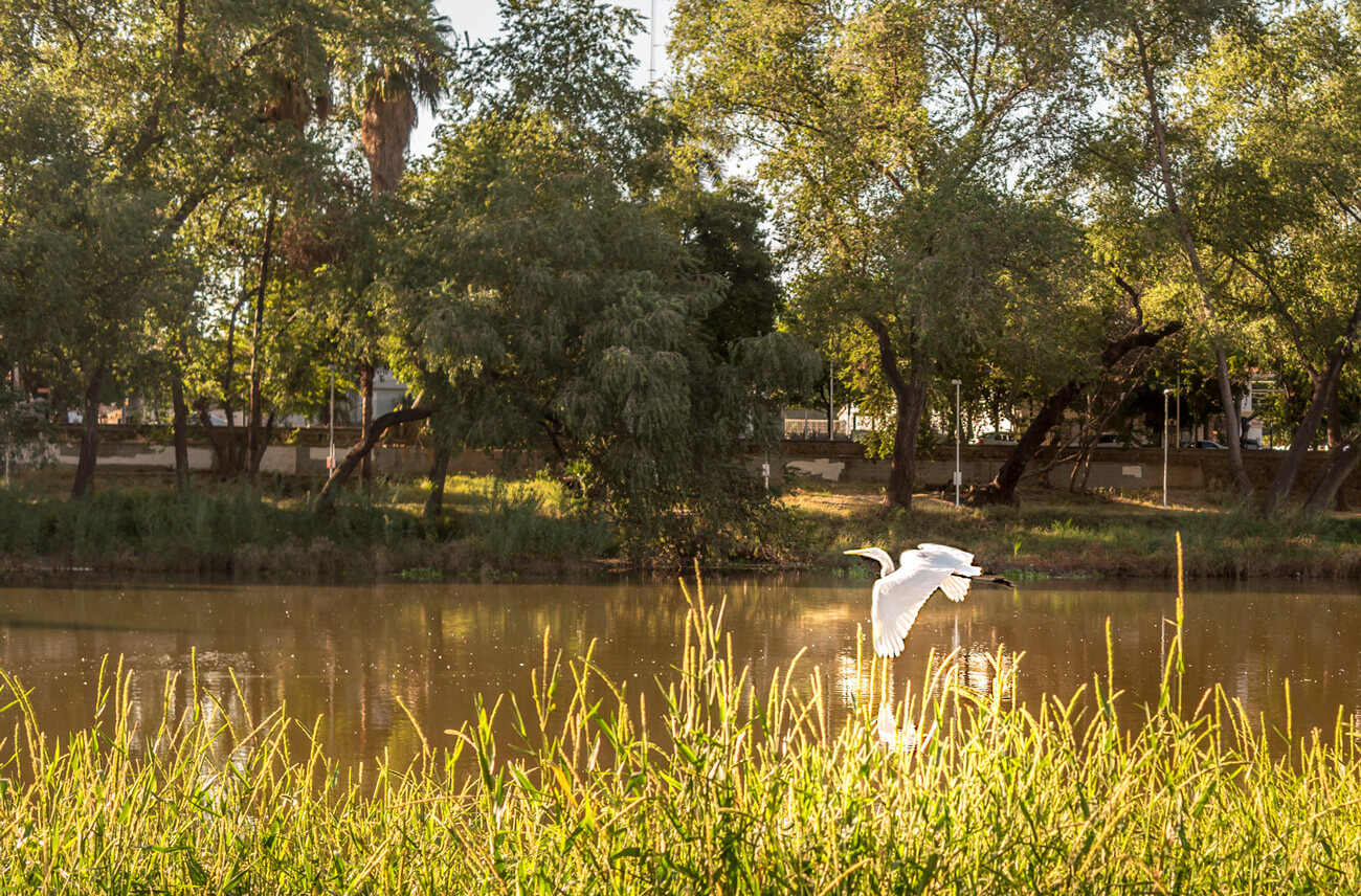 Parque Las Riberas