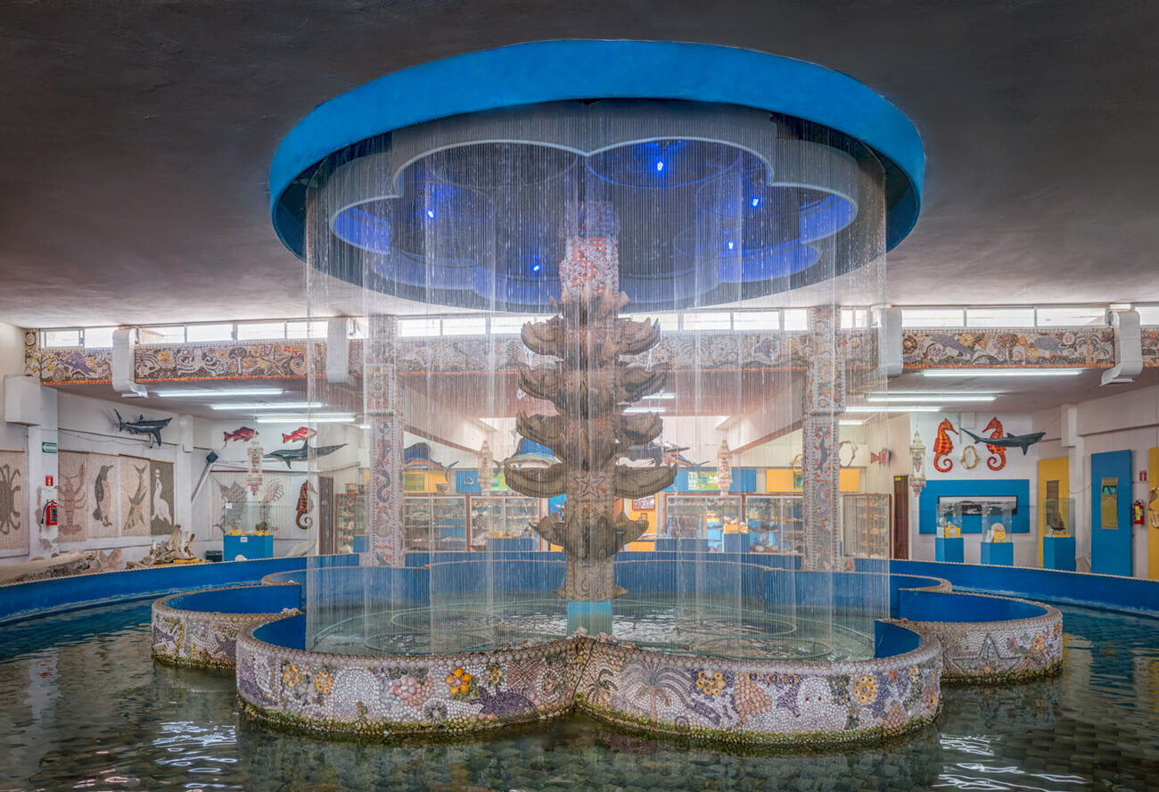 Museo de Las Conchas