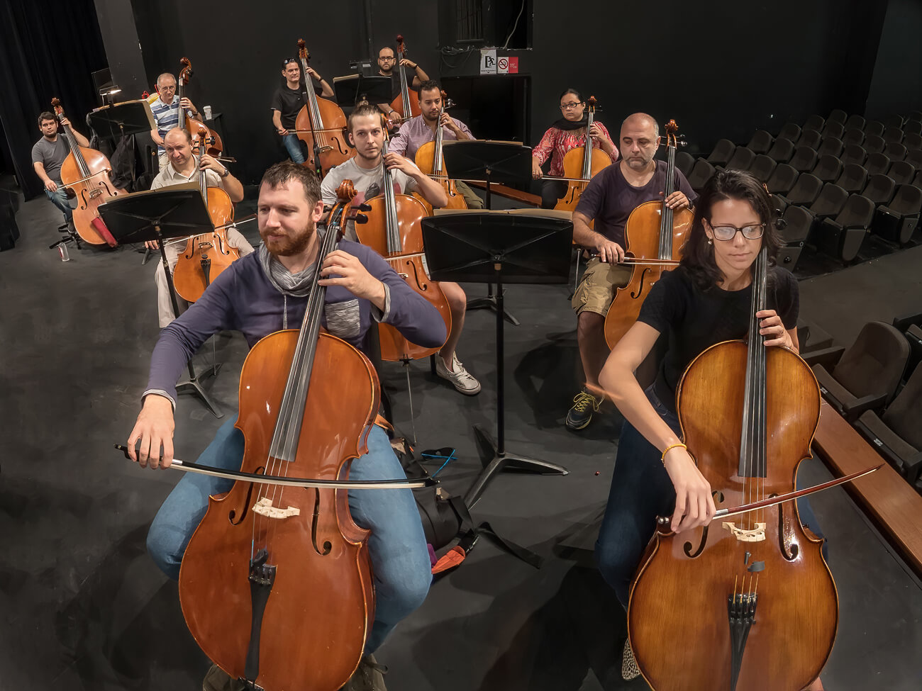 Sinaloa Symphonic Orchestra of the Arts