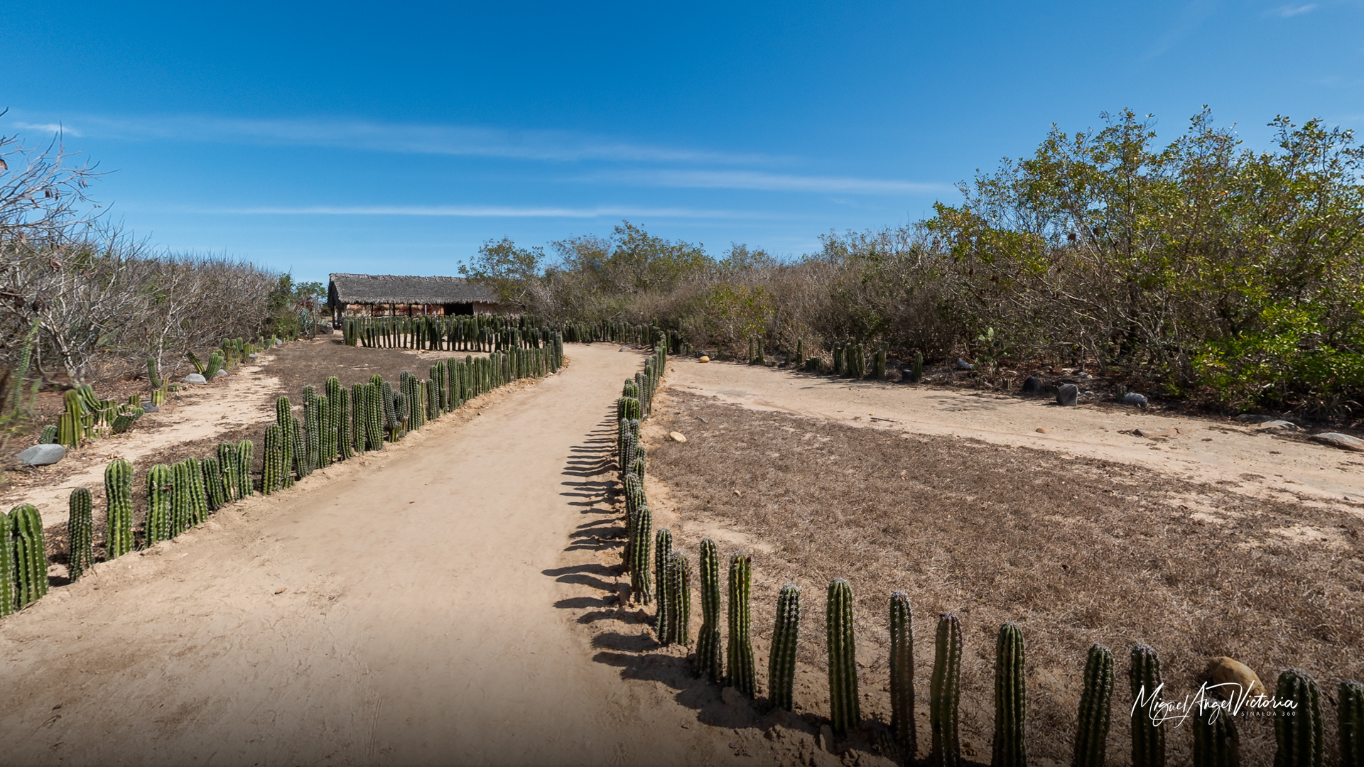 Zona Arqueológica Las Labradas