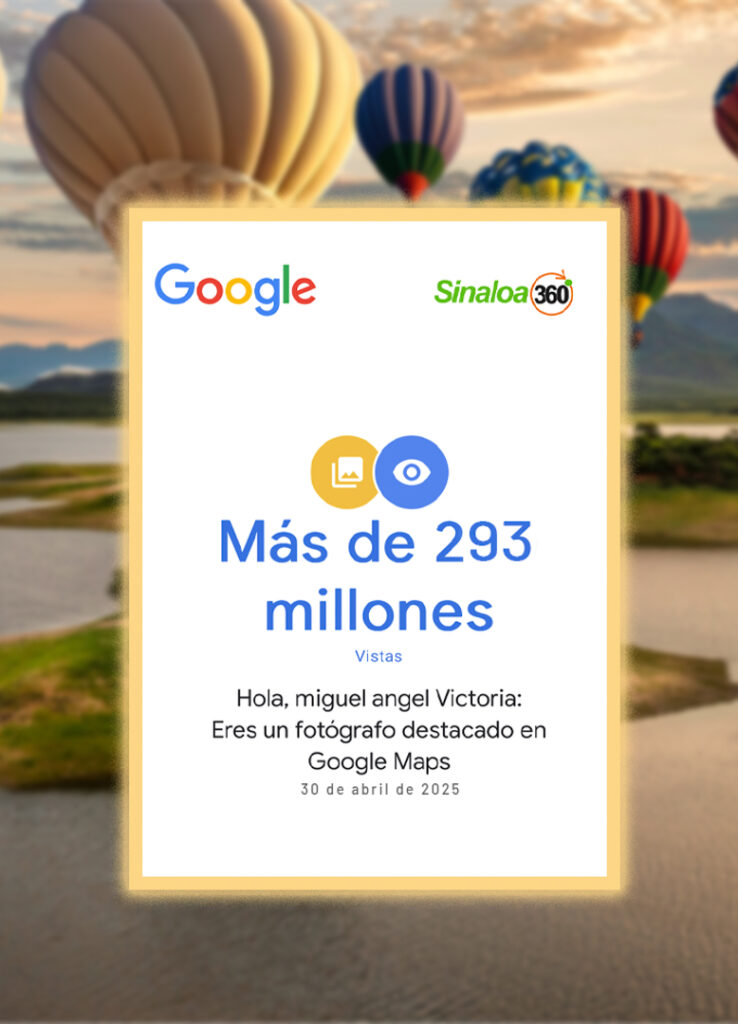 Google 293 Millones